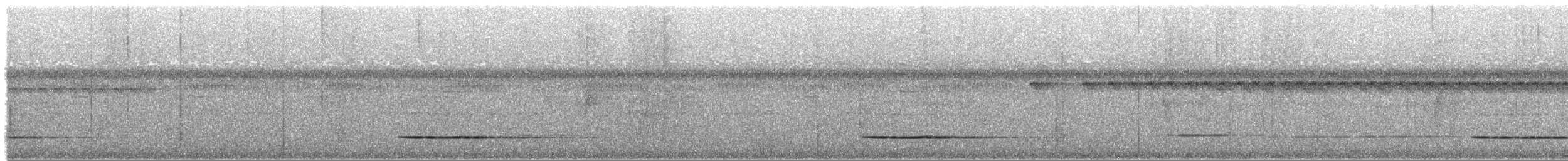 Tinamou cendré - ML380137341