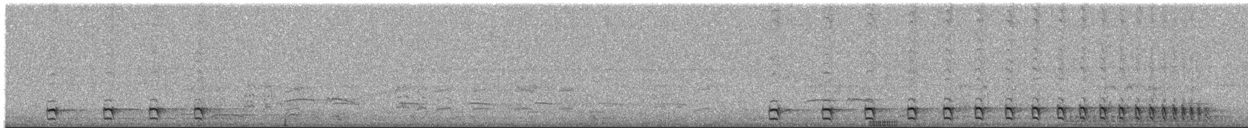 Natterer's Slaty-Antshrike - ML380138171
