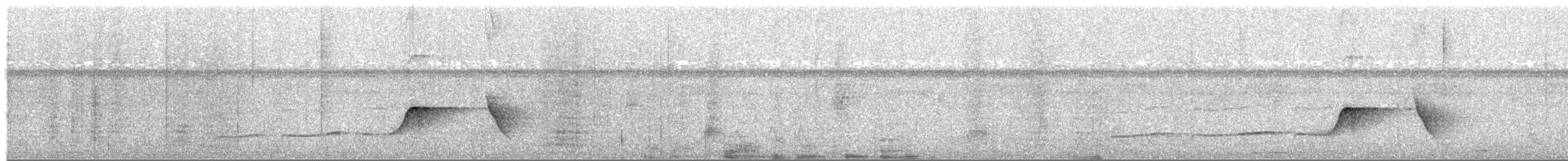 Планідера світлочерева - ML380139231