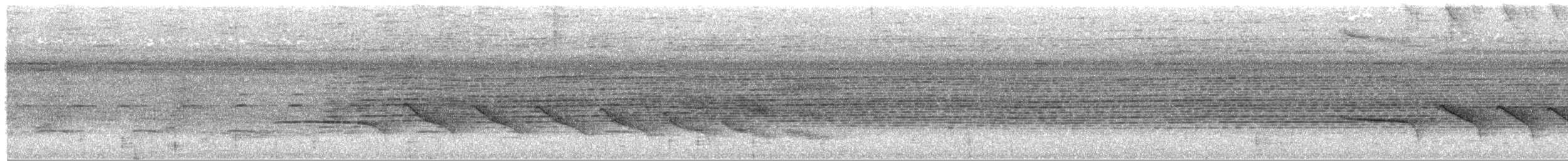 Weißbrust-Ameisenvogel - ML380141681