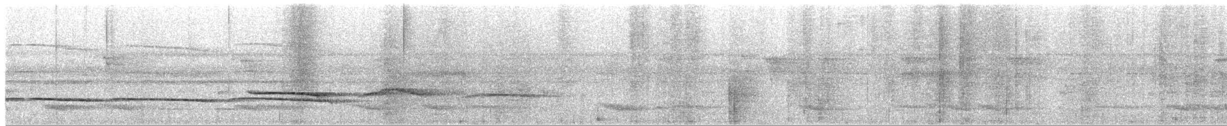 Weißstirn-Ameisenvogel - ML380142571
