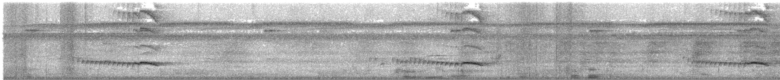 Fleckenflügel-Ameisenwürger - ML380149341