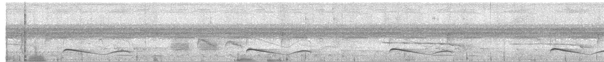Dusky-tailed Flatbill - ML380157771