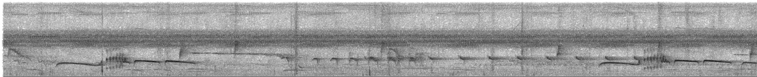 Тиран-плоскодзьоб темнохвостий - ML380157781