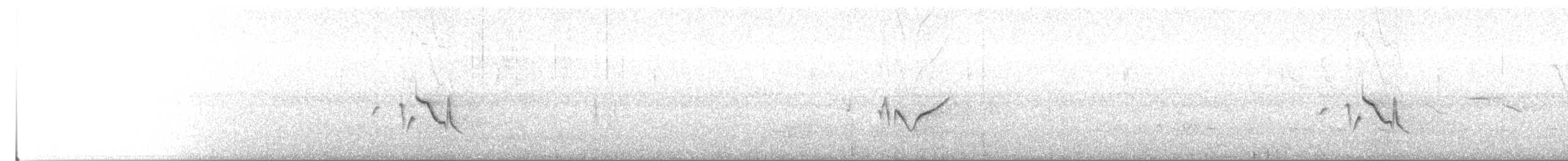 Lesser Grass-Finch - ML38016951