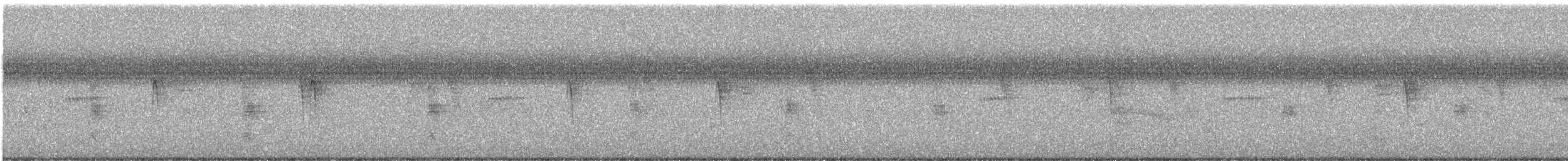 Светлобрюхий фиби - ML380180891