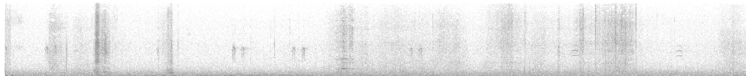 Piquituerto Aliblanco - ML380224821