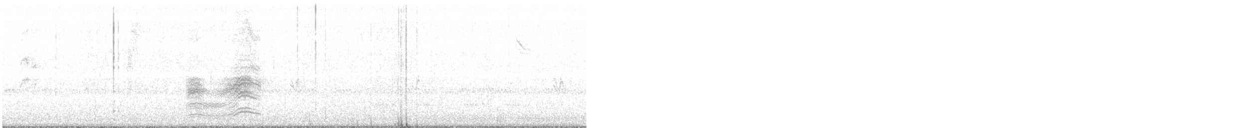 Тауї плямистий - ML380231021