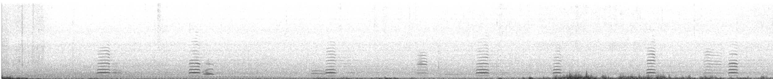 Cisne Trompetero - ML380232951