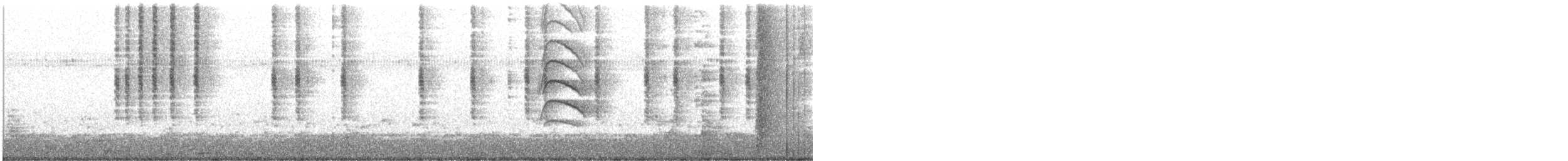 Цинантус синьогорлий - ML380240121