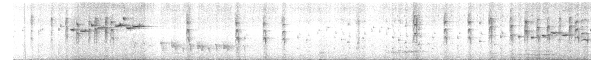 Віялохвістка сиза - ML380265081