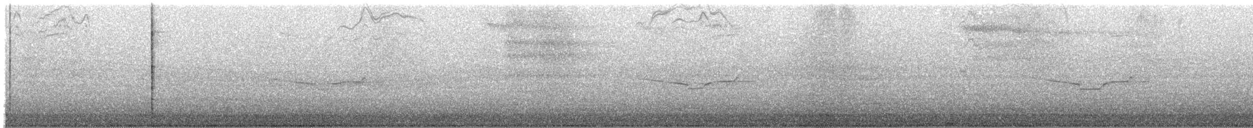 Band-winged Nightjar (longirostris) - ML380289411
