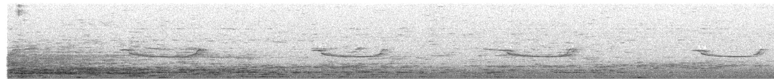 Band-winged Nightjar (longirostris) - ML380289551