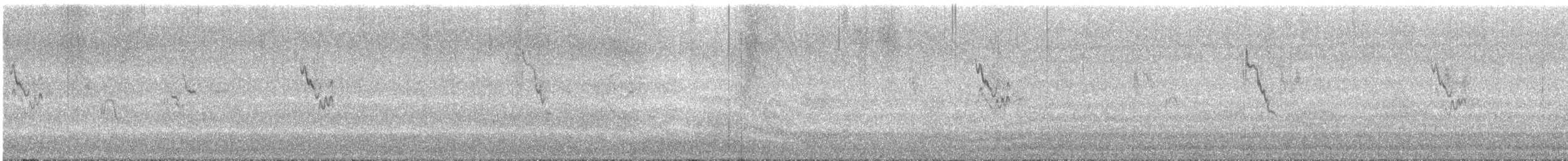 Lavandera Blanca (alboides) - ML380293681
