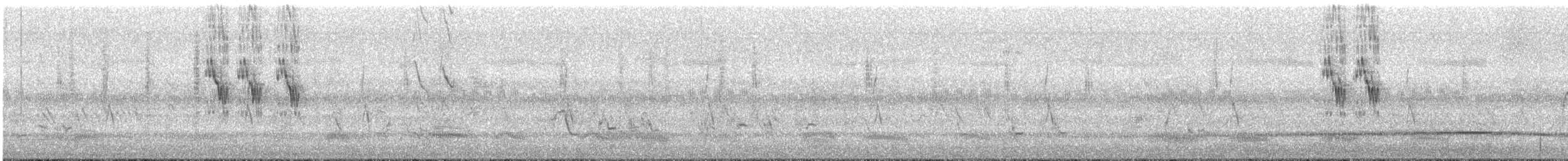 White Wagtail (Hodgson's) - ML380294221