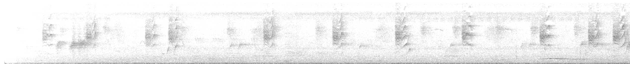 Длинноклювая нектарница - ML380294941