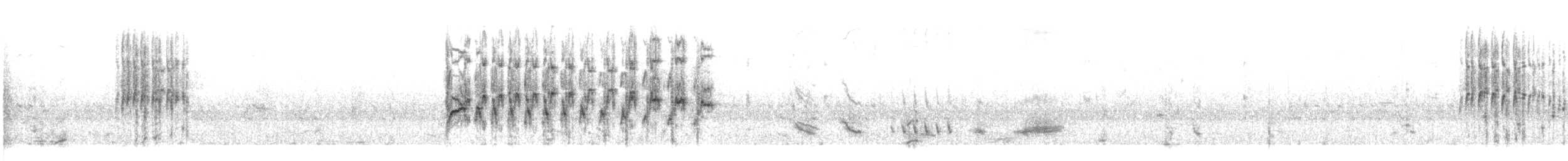 Тиранчик-тонкодзьоб південний - ML38031891