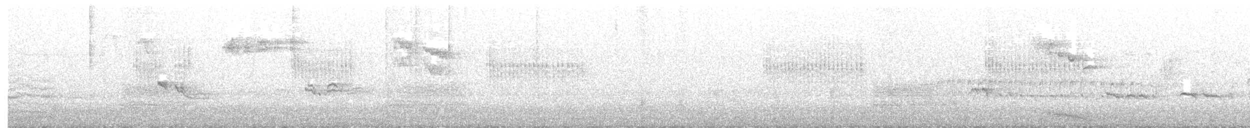 Troglodyte mignon - ML380354521