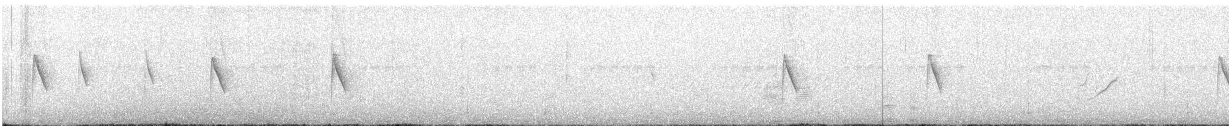 hvitbukmønjefugl - ML380368981