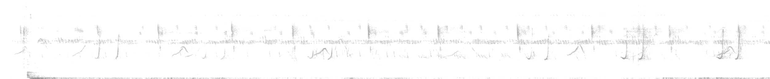 Caille nattée - ML380523931