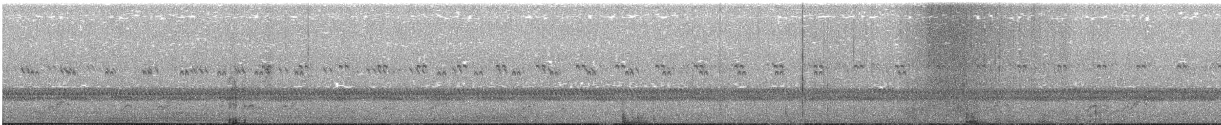 Schwarzkehl-Nachtschwalbe - ML380555131
