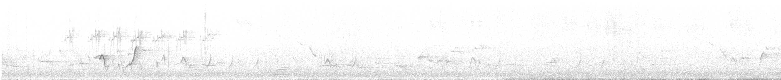Синекрылый травяной попугайчик - ML380601411