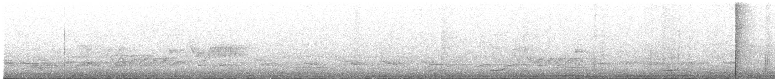 Bändernachtschwalbe - ML380673201