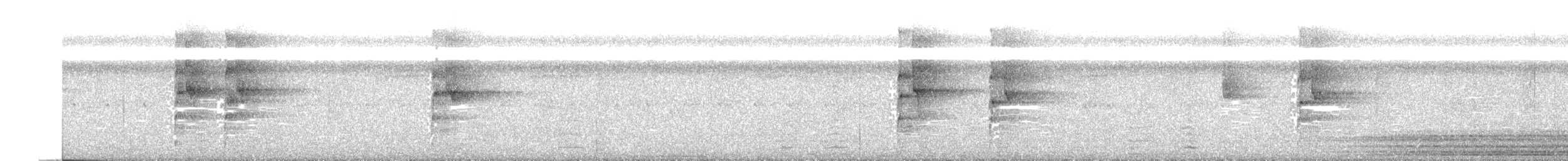 Аракарі плямистоволий [група torquatus] - ML380808431