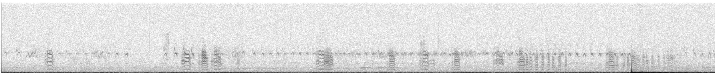 Australian Tern - ML380825291