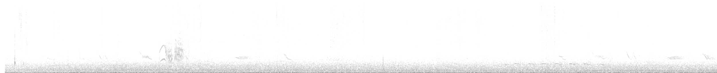 Küçük Başlı Elenya - ML380953591
