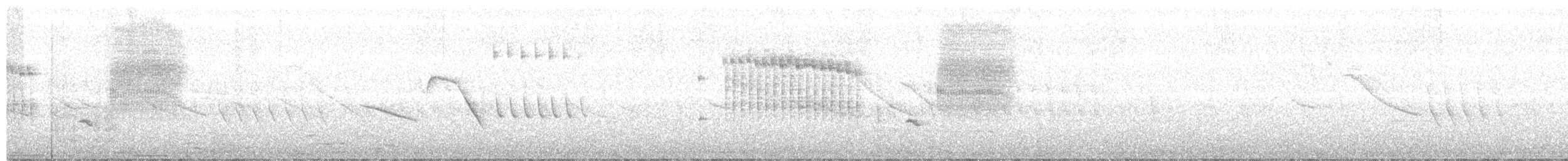 Troglodyte de Latham - ML381035891