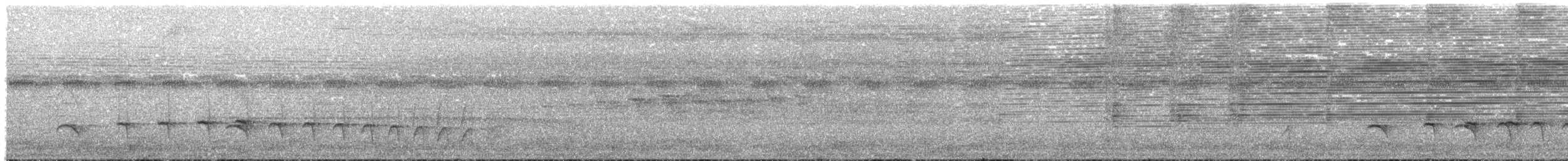 Мурав’янка-прудкокрил рондонійська - ML381037841