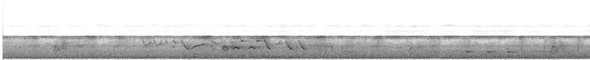 Black-billed Seed-Finch - ML38116141