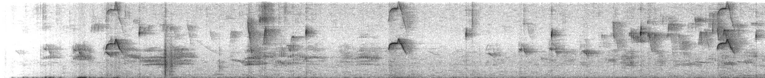 Тиранчик-тонкодзьоб південний - ML381251461