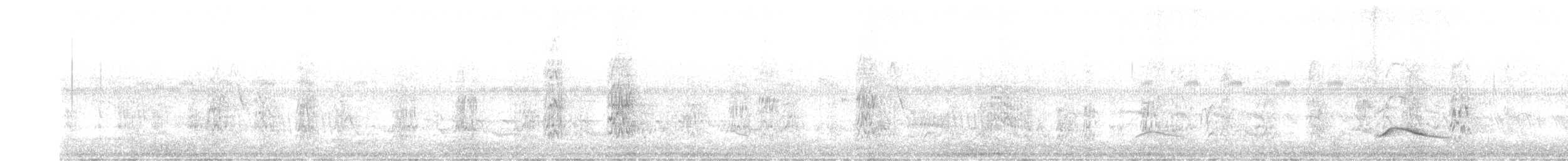 Graubrust-Olivtyrann - ML381384801