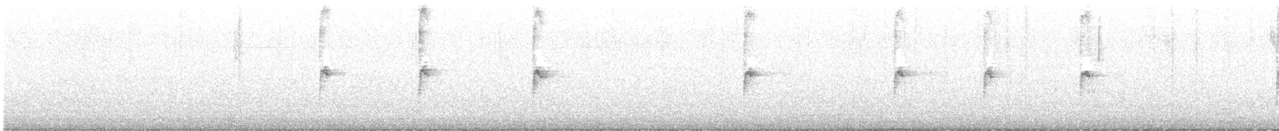 גיבתונית לבנת-גרון - ML381480391