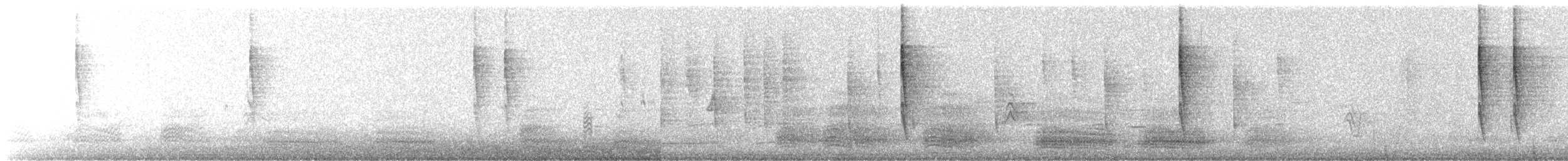 Troglodyte de Baird - ML38154111