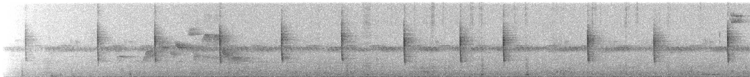 Troglodyte de Baird - ML38155011