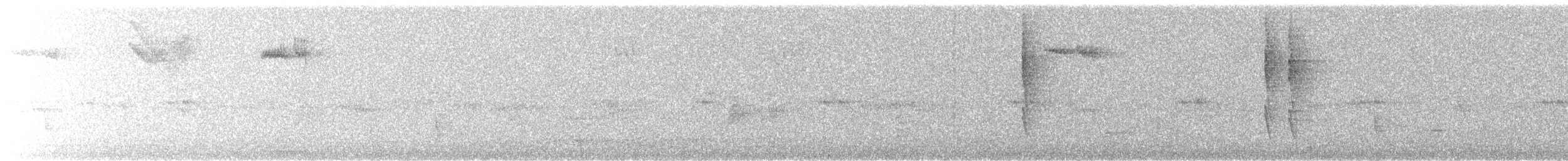 Troglodyte de Baird - ML38161611