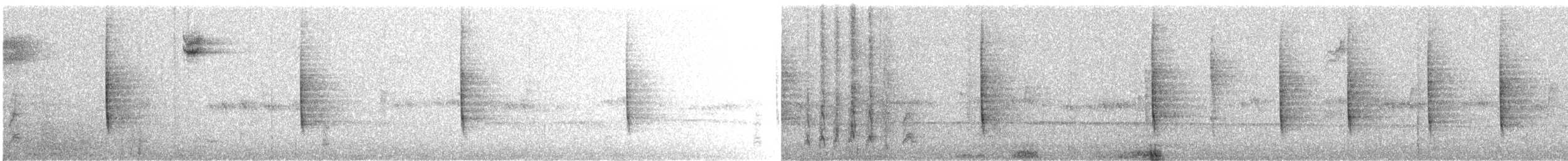 Troglodyte de Baird - ML38164681