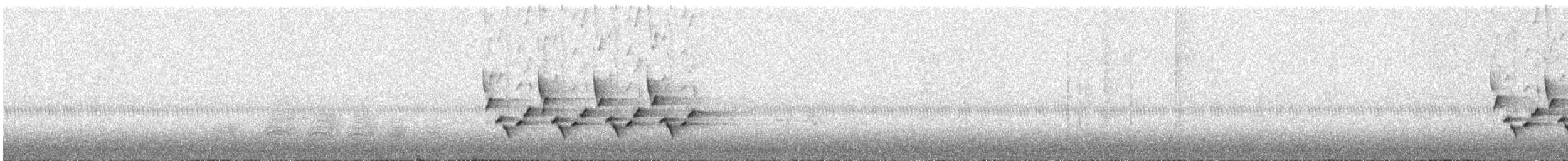 Поплітник каролінський - ML381729101