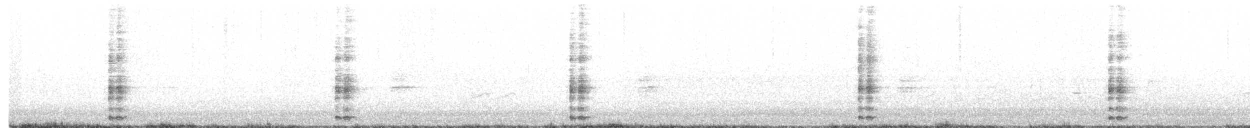 Ring-necked Pheasant - ML381775381