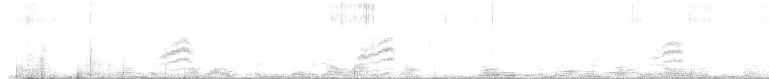 Тауї плямистий - ML381790001