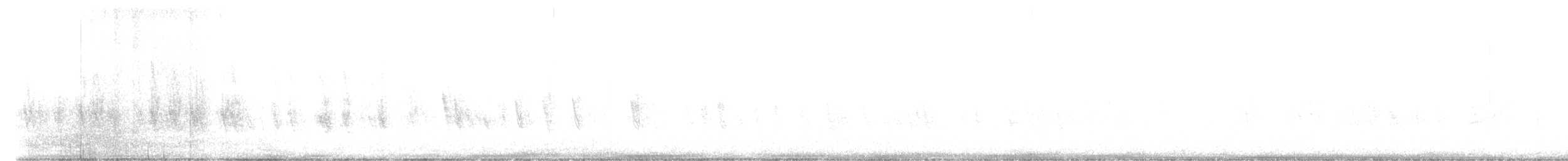 gråsisik (flammea/rostrata/islandica) - ML381923691