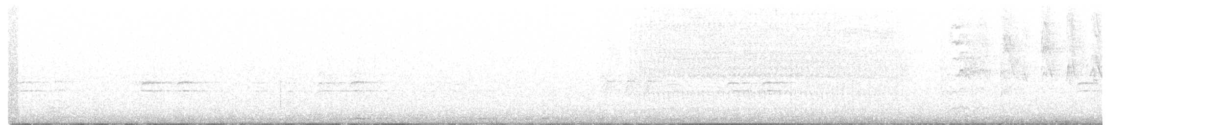 křivka bělokřídlá - ML381931331