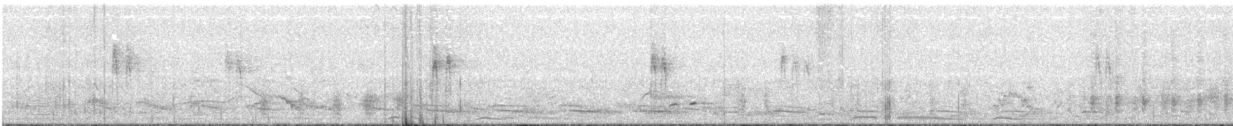 נחליאלי לבן (ממושקף) - ML38200941