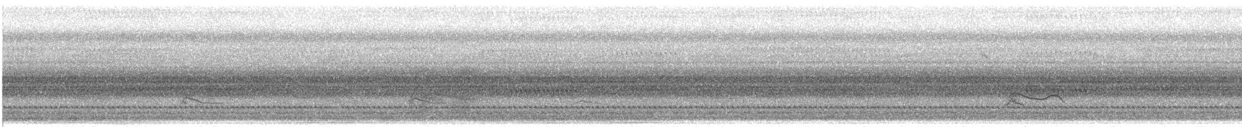 Хиазатын тодорхойгүй зүйл - ML382040041