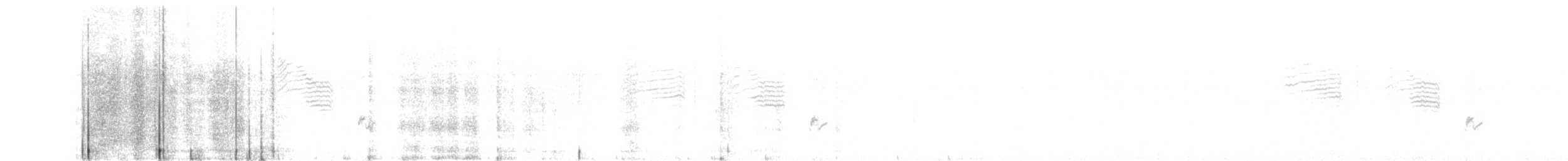 黃頭扇尾鶯 - ML38206901