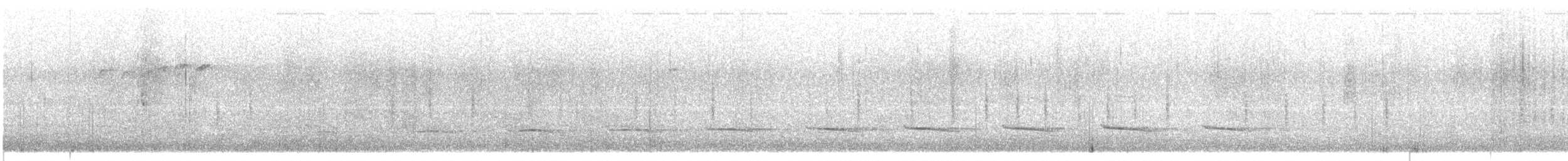 Brushland Tinamou - ML382125251