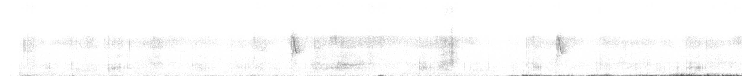 California Quail - ML382140961